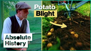 The Edwardian Farm Faces A Potato Blight  Edwardian Farm EP11  Absolute History [upl. by Katlaps531]