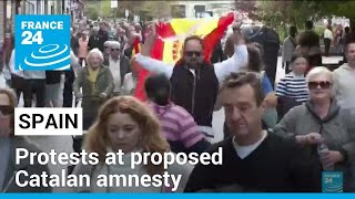 Tens of thousands protest across Spain at proposed Catalan amnesty • FRANCE 24 English [upl. by Sajovich]