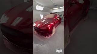 BRANDYWINE Red Kandy TESLA 🤩 Full video coming soon 🙌🏼 [upl. by Eojyllib]