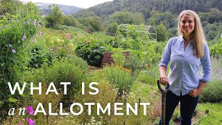 What is an Allotment [upl. by Myers]