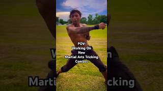 Me Trying NEW Martial Arts Tricking Combos martialarts shorts [upl. by Colwin]