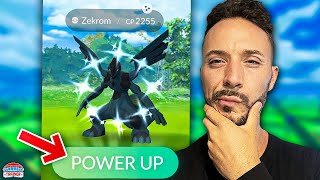 Is Zekrom Worth Raiding in Pokémon GO Evaluating Its Strength in Raids and PvP [upl. by Clapp221]