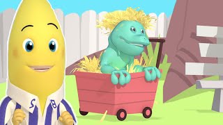 B1 And B2s Pet Dragon  Bananas in Pyjamas Season 2  Full Episodes  Bananas In Pyjamas [upl. by Yrehc]