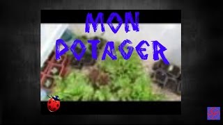 Deuxième présentation de mon potager Vidéo à regarder [upl. by Sawyere466]