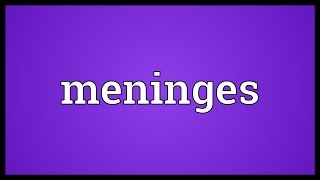 Meninges Meaning [upl. by Adrial]