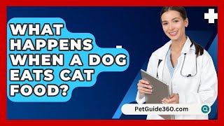 What Happens When A Dog Eats Cat Food  PetGuide360com [upl. by Nolahs462]