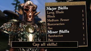 Morrowind But Ive Made All My Skills One [upl. by Ahsito882]