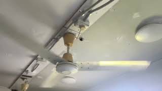 1400mm Vintage Weatherite ceiling fan test forward [upl. by Marla274]