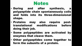 Important Notes of DNA Translation [upl. by Emlynn479]