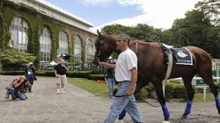 AP Analysis American Pharoahs Triple Crown Try [upl. by Hecklau]