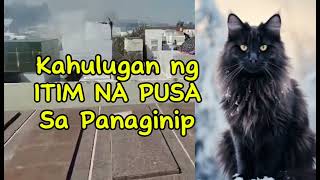 KAHULUGAN NG ITIM NA PUSA SA PANAGINIP [upl. by Holmun789]