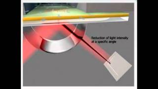 Surface Plasmon Animation [upl. by Zehc]