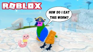 The Roblox Bird Experience [upl. by Avrom658]