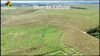 Fazenda em MessiasAL  160 Hectares [upl. by Nnylyoj]