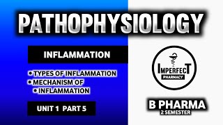 Inflammation  Mechanism Of Inflammation  Types Of Inflammation  Pathophysiology  B Pharma [upl. by Eelitan]