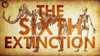 Are We Living In the Sixth Extinction [upl. by Annairb728]