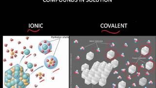 Part 1 Electrolyte vs NonElectrolyte [upl. by Leeda824]