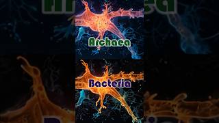 Archaea vs Bacteria archaeology bacteria biodiversity [upl. by Garrard]