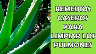 Remedios Caseros Para Descongestionar los Pulmones  Como Eliminar la Flema De los Pulmones [upl. by Nnylirej]