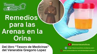 Remedios para las arenas en la orina del Venerable Gregorio Lopez [upl. by Clyde]