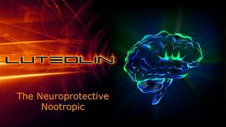 Luteolin The Neuroprotective Nootropic [upl. by Fagin148]