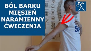 Mięsień naramienny  Ból barku  Ból ramienia  Ćwiczenia  Rehabilitacja  🇵🇱 🇪🇺 [upl. by Ainadi]