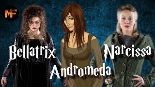 Black Sister Origins Explained Bellatrix Lestrange Narcissa Malfoy amp Andromeda Tonks [upl. by Eiroj]