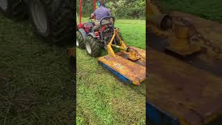 Goldoni Quad tractor making short work of an unkept small orchard Infested with mole hills 🗻 [upl. by Tloh]