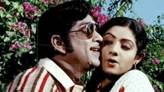 Premabhishekam Songs  Na Kallu Cheputunnayi  ANR Sridevi  HD [upl. by Semaj]