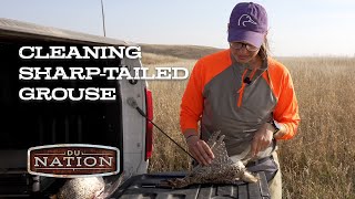 How to Clean Sharptailed Grouse  DU Nation [upl. by Procto]