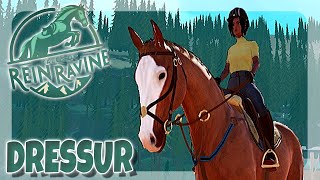 DRESSUR mit BLAZE 🐴 PIAFFE TRAVERSALE TRABVERSTÄRKUNG  TALES OF REIN RAVINE [upl. by Boyd90]