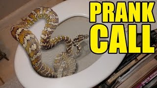 Snakes In The Toilet Prank Call [upl. by Notnek625]