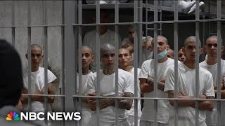 Rare look inside El Salvadors mega prison [upl. by Fortunia]