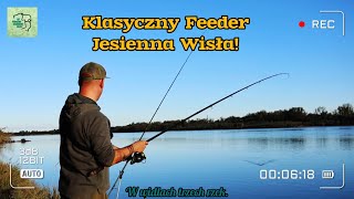 W końcu ryby z jesiennej Wisły Klasyczny feeder nad dużą rzeką [upl. by Suoicul161]