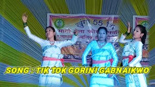 Tik Tok Gorini GabnaikwoSuper Hitt DanceLive performance ReUploadDfCreation9559 [upl. by Milla]