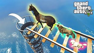 Gta 5 Parkour Dog amp Animals Jumping Into Pipe [upl. by Uhej]