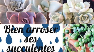 🚿 Bien arroser ses plantes succulentes  ARROSAGE PLANTES SUCCULENTES [upl. by Nirmak]