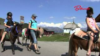 Sommer auf der Bettmeralp [upl. by Ogirdor961]