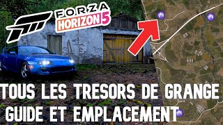 FORZA HORIZON 5  TOUS LES TRESORS DE GRANGE  GUIDE ET EMPLACEMENT [upl. by Salahcin]