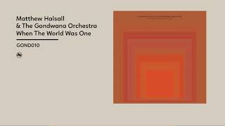 Matthew Halsall The Gondwana Orchestra  When the World Was One Official Album Video [upl. by Ranie]