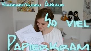 So viel Papierkram  Essay  Visum  Reisepass  Japan Vorbereitungen 3 [upl. by Letha]