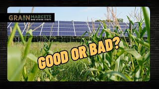 Solar Panels on Farm Land Good or Bad [upl. by Thisbe]