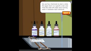 Gram Staining [upl. by Annaek]