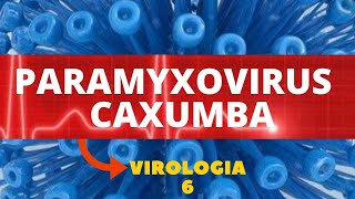 PARAMYXOVIRUS  CAXUMBA  VIROLOGIA  AULA 6 [upl. by Youngran108]