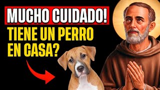 Impactante lo que San Francisco de Asís predijo para quienes tienen PERRO EN CASA  Espiritualidad [upl. by Geno]