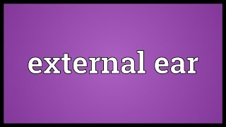 External ear Meaning [upl. by Billi]