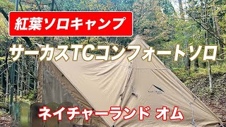 テンマクデザイン サーカスTCコンフォートソロで紅葉ソロキャンプin道志村ネイチャーランド オム／トヨタ ライズ [upl. by Josh]