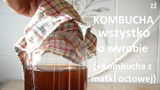 Kombucha  jak zrobić odc poprawiony Wszystko o produkcji kombuchy Kombucha z matki octowej [upl. by Acie]