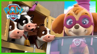 Skye Rescues a Flying Farmhouse 🐶  PAW Patrol Rescue Episode  Cartoons for Kids [upl. by Anuahs665]