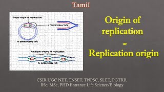 Origin of Replication  Replication origin Tamil CSIR NET TNSET GATE  PGTRB BSc MSc [upl. by Lyreb]